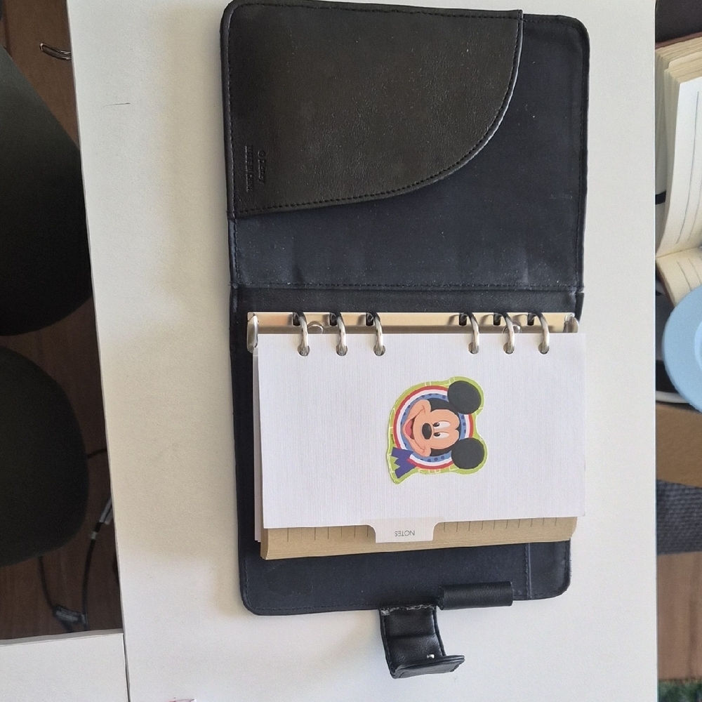 Disney Black Embossed California Adventure Organizer with Silver Badge - Picture 2 of 12